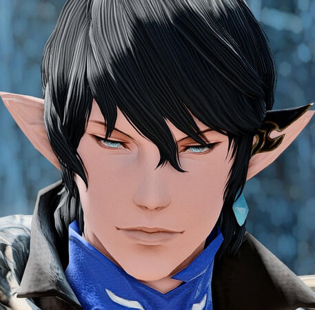 Aymeric de Borel (FFXIV) 🙅